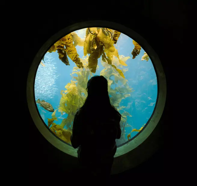 Enrichir la visite aquarium