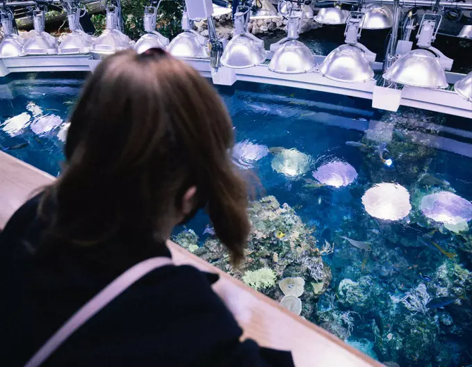 Enrichir la visite aquarium sonore