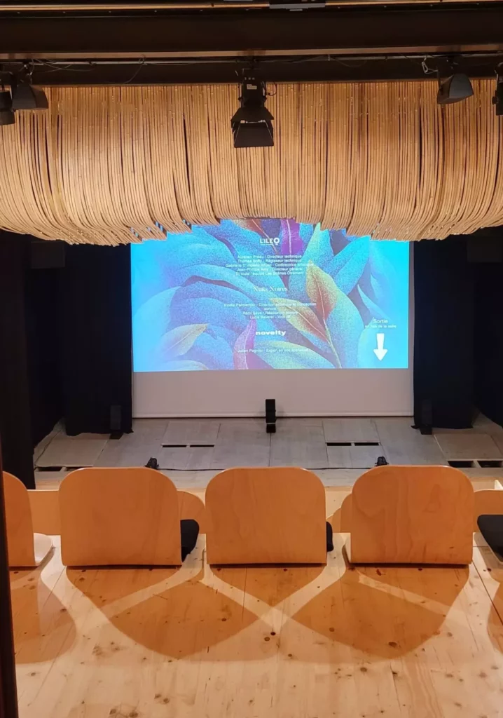 spectacle immersif