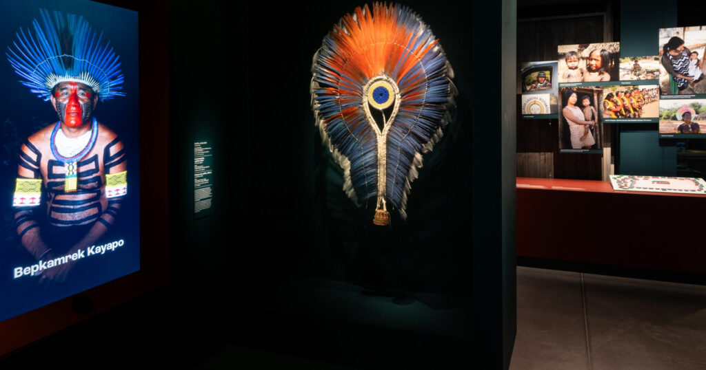dispositifs multimédias au musée