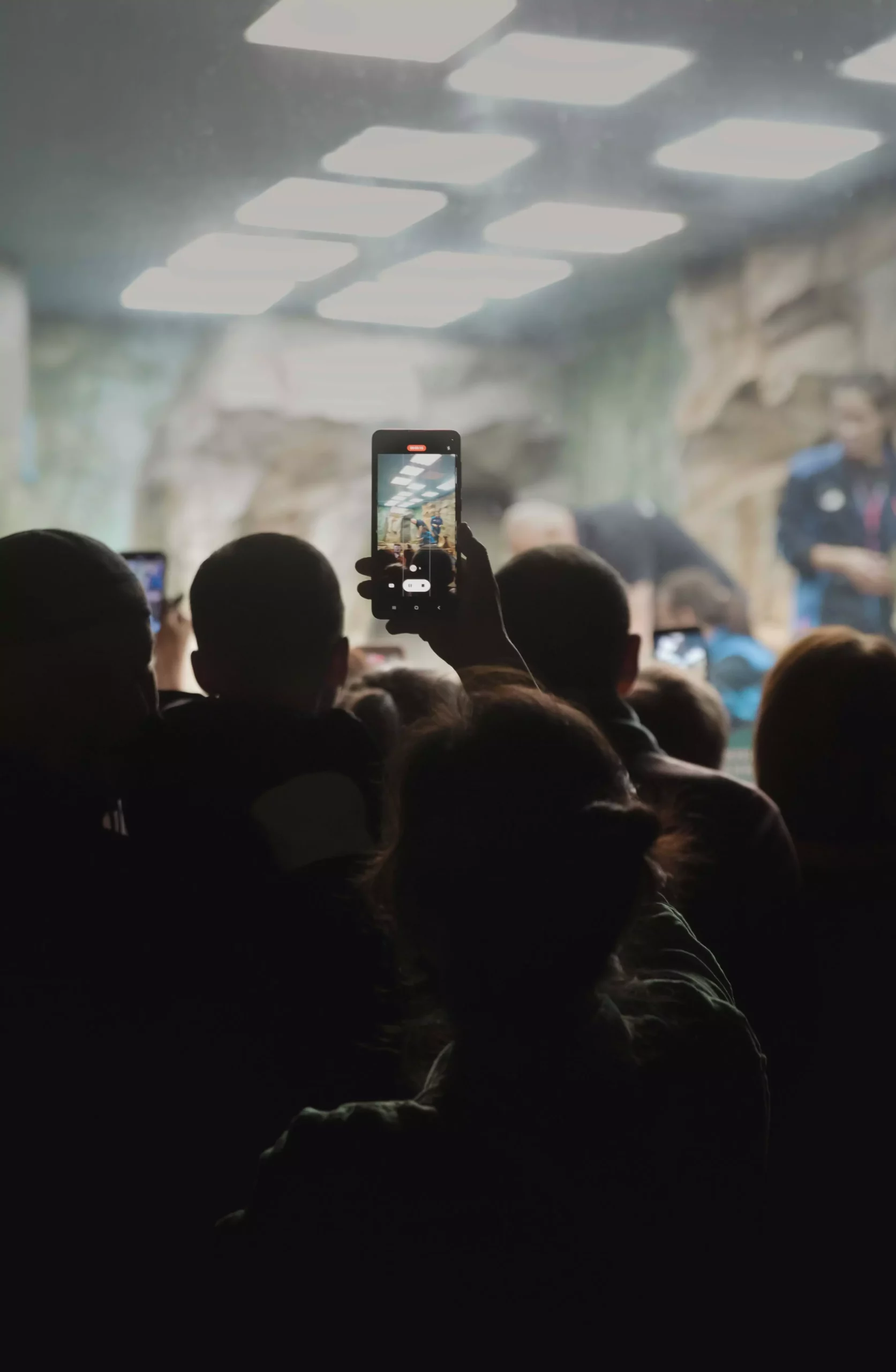choix des médias au musée