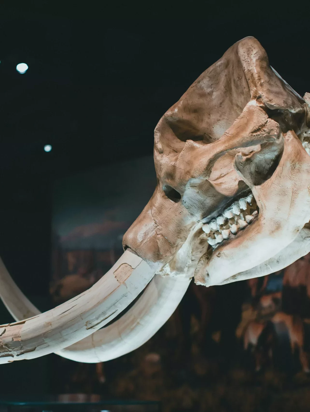 récit et média médiation culturelle et scientifique