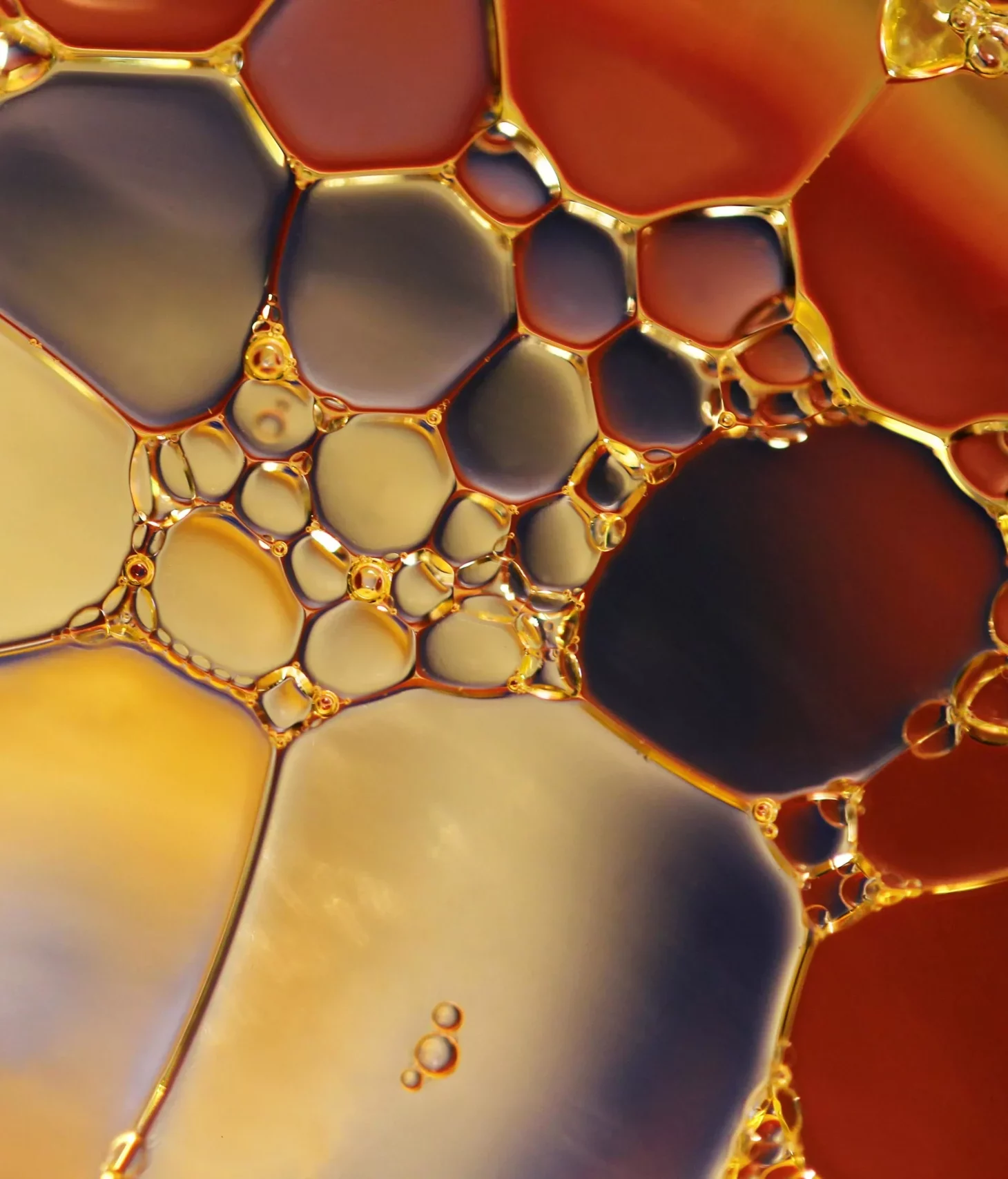 démocratiser la science musée