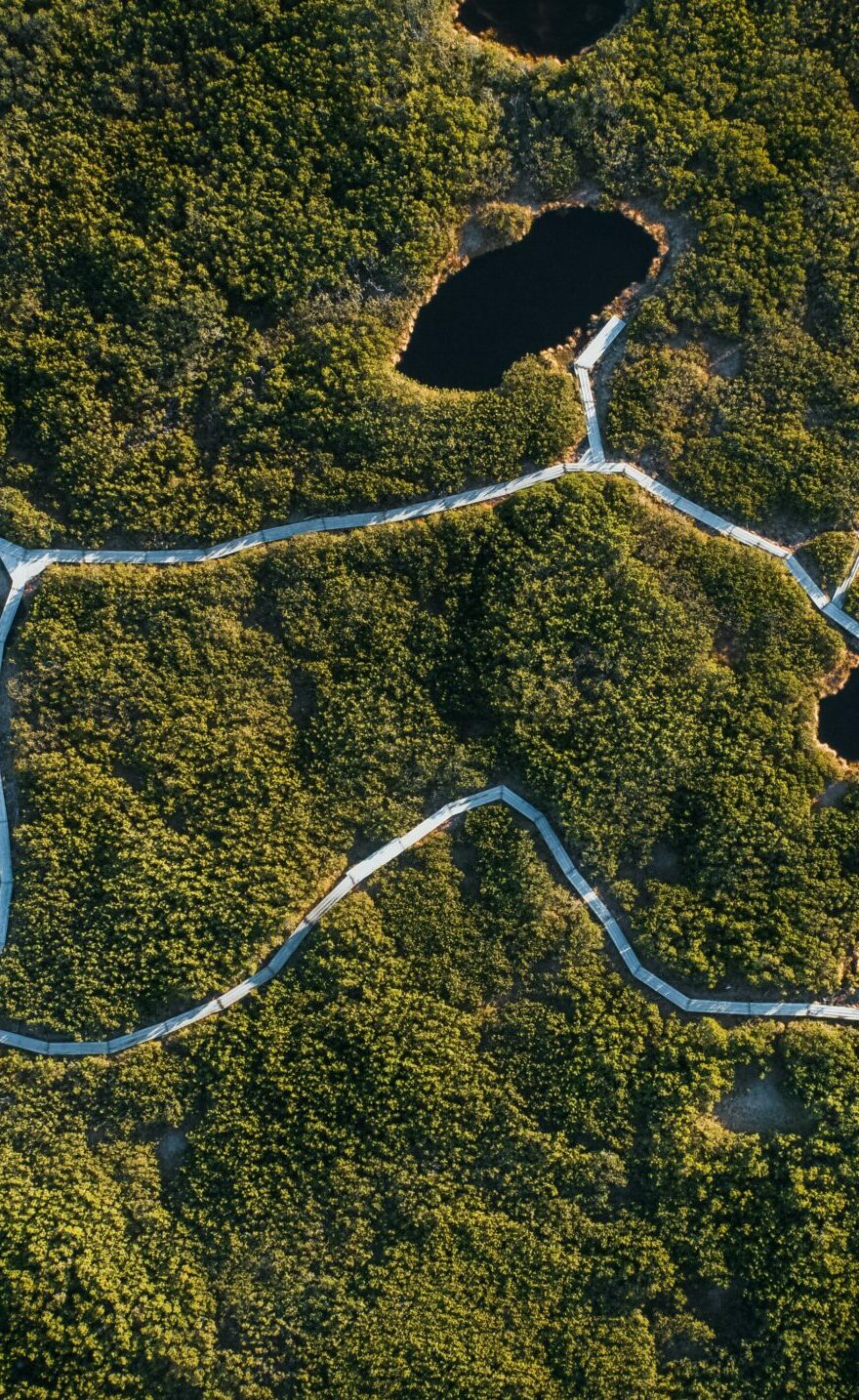 dispositif touristique sonore rural